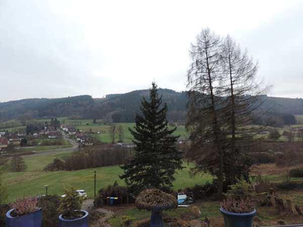 Ausblick