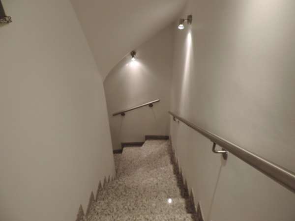 DSCN8703