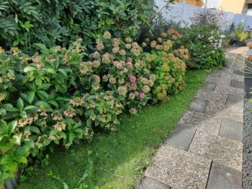 Außergewöhnlicher Bungalow mit Garten - Garten (2) (2373)