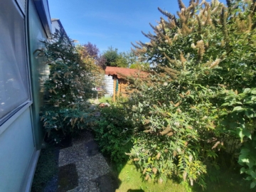 Außergewöhnlicher Bungalow mit Garten - Garten (2372)