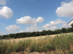 Feldrandlage