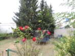 DSCN8268