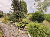 Garten (2)