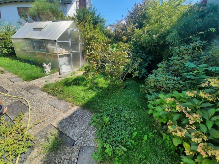 Garten (4)