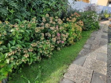 Handwerker Aufgepasst – Außergewöhnlicher Bungalow mit Garten - Garten (2) (9753)