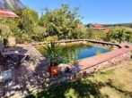 Schwimmteich (2)