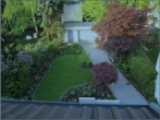 Blick in den Garten