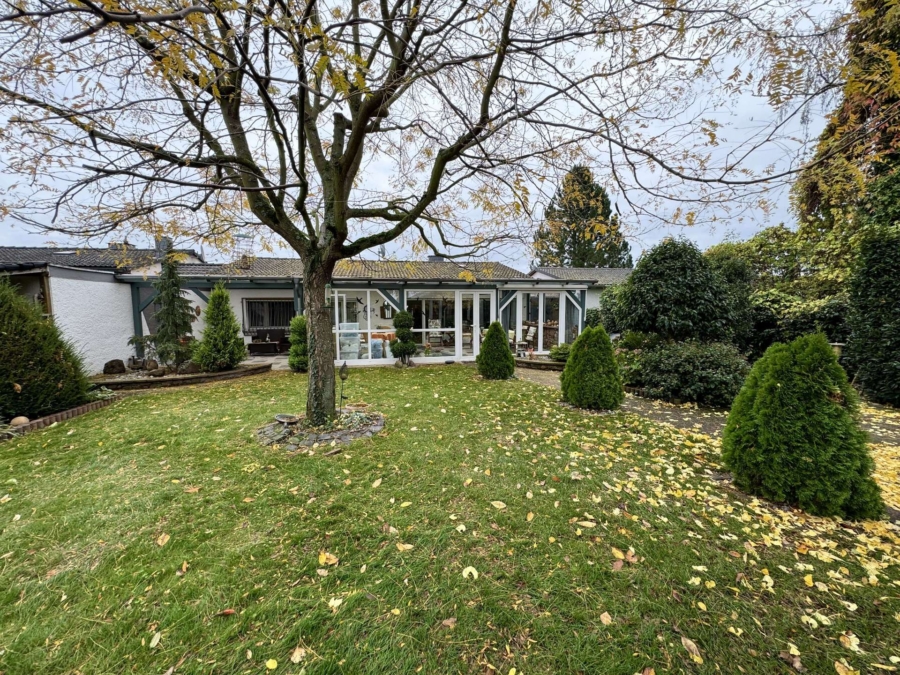 Garten mit Blick aufs Haus