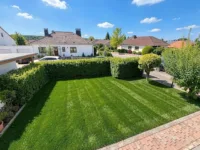 Blick in den Garten Wohnhaus