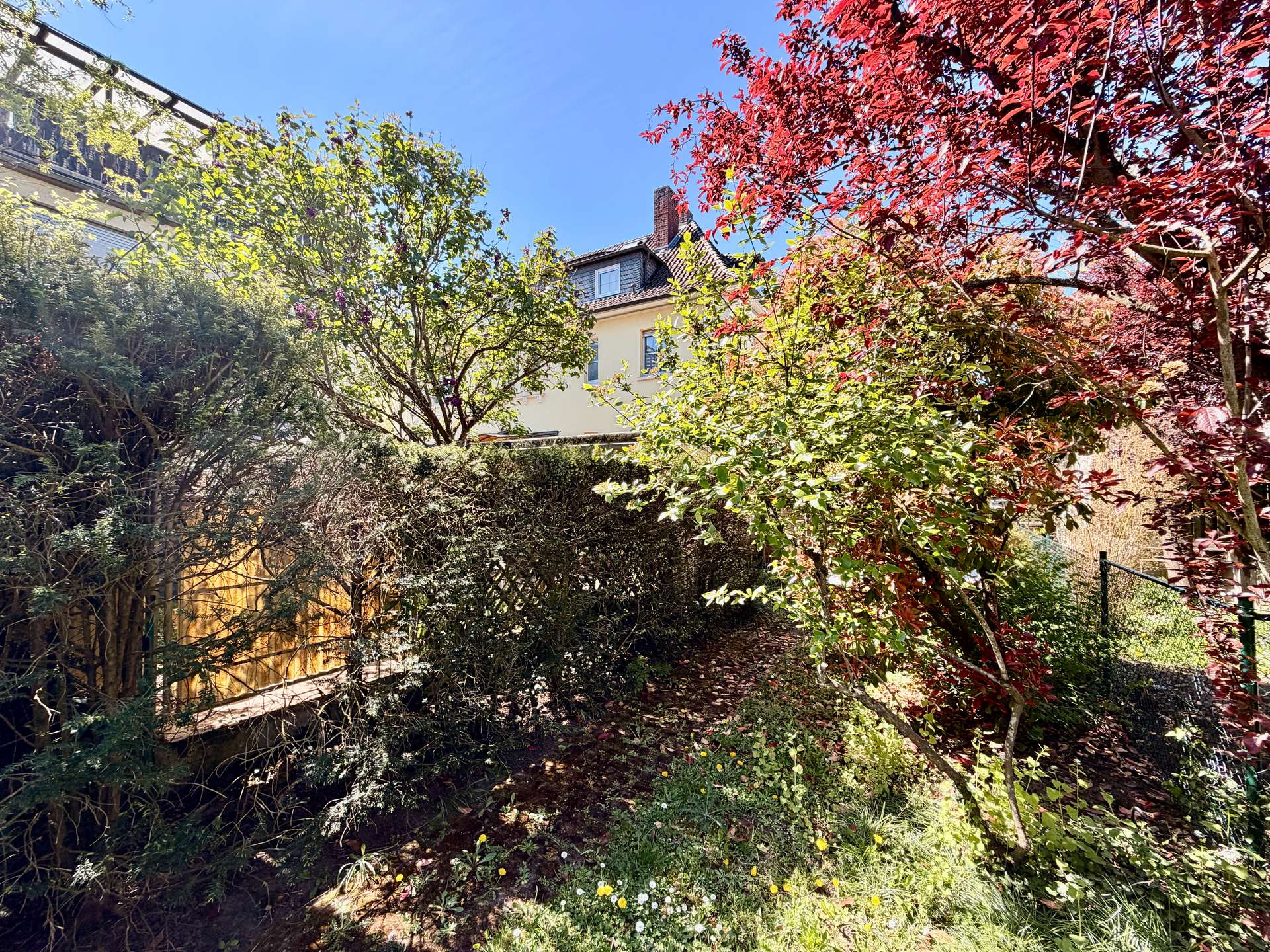 Garten (4)