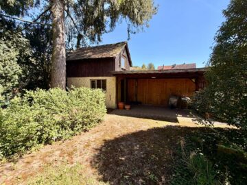 Repräsentative 3-Familien-Villa in bester Lage von Hanau - Garten (2) (10499)