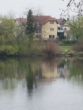 Blick vom Main