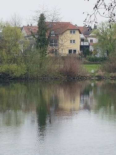 Blick vom Main