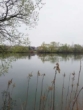 Ausblick zum Main